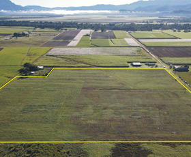 Rural / Farming commercial property for sale at 61/ Mancuso's Road Lannercost QLD 4850