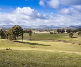 Rural / Farming commercial property for sale at 57 Police Track Lima VIC 3673