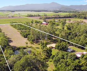 Rural / Farming commercial property for sale at 108 Hall Road Gordonvale QLD 4865