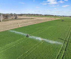 Rural / Farming commercial property for sale at 3095 Toowoomba Cecil Plains Road Linthorpe QLD 4356