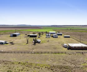Rural / Farming commercial property for sale at 61 Telford Road Biddeston QLD 4401