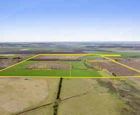 Rural / Farming commercial property for sale at 61 Telford Road Biddeston QLD 4401