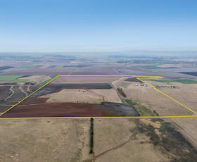 Rural / Farming commercial property for sale at 61 Telford Road Biddeston QLD 4401