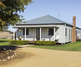 Rural / Farming commercial property for sale at 241 Mackie Road Nobby QLD 4360