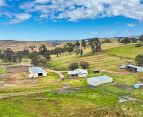 Rural / Farming commercial property for sale at 496 Tia Diggings Road Walcha NSW 2354
