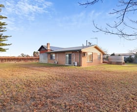 Rural / Farming commercial property for sale at 57 Old Sturt Highway Barmera SA 5345