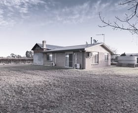 Rural / Farming commercial property for sale at 57 Old Sturt Highway Barmera SA 5345 Rural / Farming commercial property for sale at 57 Old Sturt Highway Barmera SA 5345