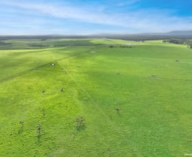 Rural / Farming commercial property for sale at 91 Millbrook Road Green Valley WA 6330