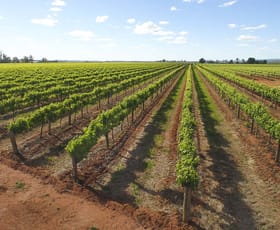 Rural / Farming commercial property for sale at 189 Myall Park Road Griffith NSW 2680