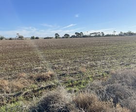 Rural / Farming commercial property for sale at Lot 405 North West Terrace Warnertown SA 5540