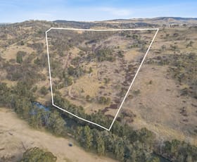 Rural / Farming commercial property for sale at 313 Pine Ridge Road Rock Forest NSW 2795