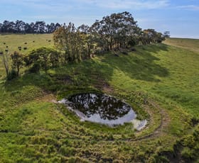 Rural / Farming commercial property for sale at 499 East Greenwald Road Greenwald VIC 3304