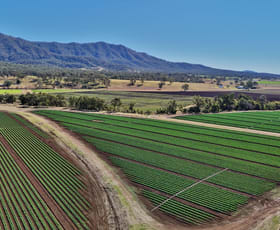 Rural / Farming commercial property for sale at Lot 2 Watkins Dr Thornton QLD 4341