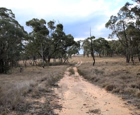 Rural / Farming commercial property for sale at 397 Rothlyn Road Chakola NSW 2630