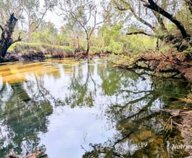 Rural / Farming commercial property for sale at Lot 1389 Orange Springs Road, Orange Springs Gingin WA 6503