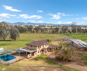 Rural / Farming commercial property for sale at 93 Glenara Road Bithramere NSW 2340