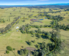 Rural / Farming commercial property for sale at 161 Tabulam Road Lower Bottle Creek NSW 2469