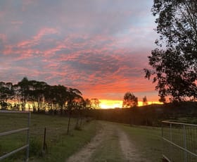 Rural / Farming commercial property for sale at 620 Tabulam Road Lower Bottle Creek NSW 2469