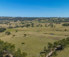 Rural / Farming commercial property for sale at 7 Robertsons Lane Tenterfield NSW 2372