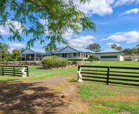 Rural / Farming commercial property for sale at 510 Oaky Creek Road Oaky Creek QLD 4285
