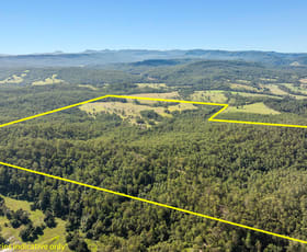 Rural / Farming commercial property for sale at 118 Provians Road Sextonville NSW 2470