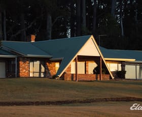Rural / Farming commercial property for sale at 508 Loyetea Road Loyetea TAS 7316