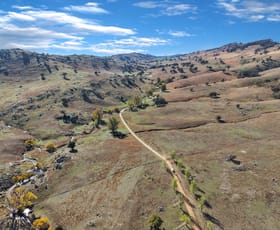 Rural / Farming commercial property for sale at Mount Darling Road Reids Flat NSW 2586