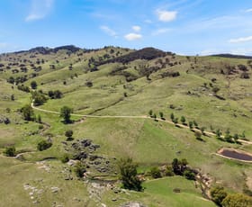 Rural / Farming commercial property for sale at 333 Mount Darling Road Reids Flat NSW 2586