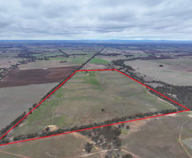 Rural / Farming commercial property for sale at Lot 2 Rheola - Llanelly Road Murphys Creek VIC 3551