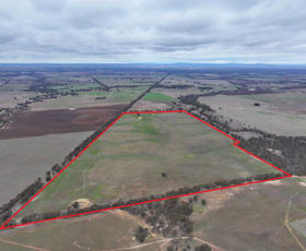 Rural / Farming commercial property for sale at Lot 2 Rheola - Llanelly Road Murphys Creek VIC 3551