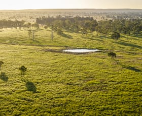 Rural / Farming commercial property for sale at 170 Redbank Road Morinish QLD 4702