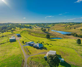 Rural / Farming commercial property for sale at 93 Cullinane Road Mothar Mountain QLD 4570