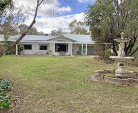 Rural / Farming commercial property for sale at 18764 Kamilaroi Highway Narrabri NSW 2390