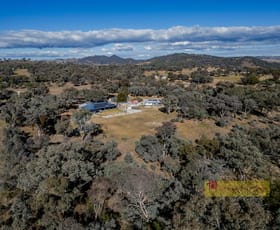 Rural / Farming commercial property for sale at 131 Beragoo Road Mudgee NSW 2850