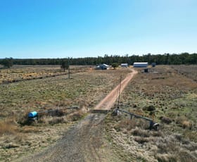 Rural / Farming commercial property for sale at 6754 Coonabarabran Road Premer NSW 2381