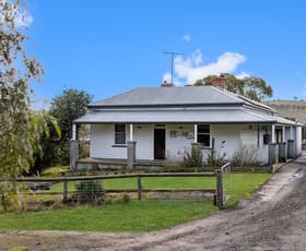 Rural / Farming commercial property for sale at 3148 Cavendish-Coleraine Road Coleraine VIC 3315