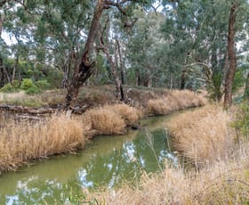 Rural / Farming commercial property for sale at 1460 Baldry Road Baldry NSW 2867