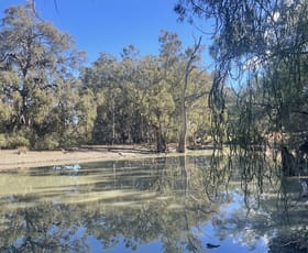Rural / Farming commercial property for sale at Billabong Estate Conargo NSW 2710