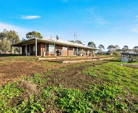 Rural / Farming commercial property for sale at 66 Mercer Street Shelford VIC 3329