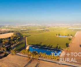 Rural / Farming commercial property for sale at 1404 Research Road Ebenezer SA 5355