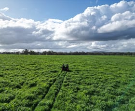 Rural / Farming commercial property for sale at 'Willowbank' Urana Road Jindera NSW 2642