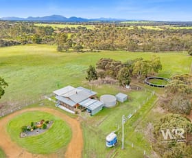 Rural / Farming commercial property for sale at 81 Hudson Road Kendenup WA 6323
