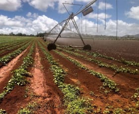 Rural / Farming commercial property for sale at 139 Tinaroo Falls Dam Road Atherton QLD 4883
