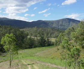 Rural / Farming commercial property for sale at 3501C Rocky River Road Rocky River NSW 2372