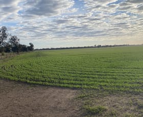 Rural / Farming commercial property for sale at Stawell-Warracknabeal Road Minyip VIC 3392