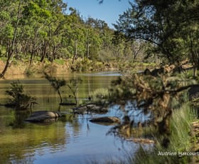 Rural / Farming commercial property for sale at 206 - 208 Rocky Glen Road Kingstown NSW 2358