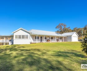 Rural / Farming commercial property for sale at 1000 Nowendoc Road Mount George NSW 2424