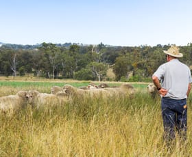 Rural / Farming commercial property for sale at "Linallie" 2263 Greenup Limevale Road Brush Creek QLD 4387