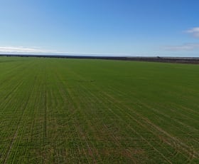 Rural / Farming commercial property for sale at 697 Solomon Road Perenjori WA 6620