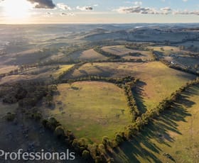 Rural / Farming commercial property for sale at 174 Emu Swamp Road Orange NSW 2800